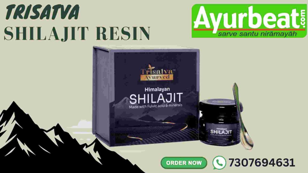 Shilajit resin 1