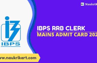 IBPS RRB Clerk Mains Admit Card 2022